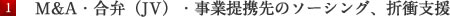 M&A・合弁(JV)・事業提携先のソーシング、折衝支援